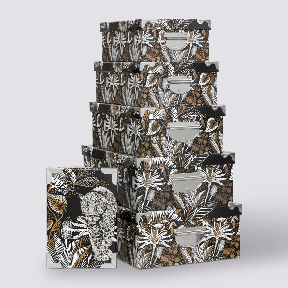 5five 7 boîtes coins, Panthère